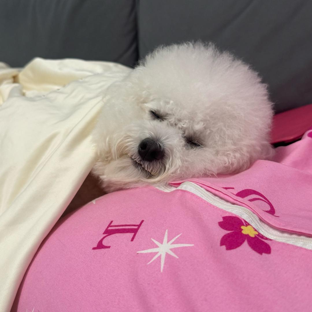 米甲美甲工作室