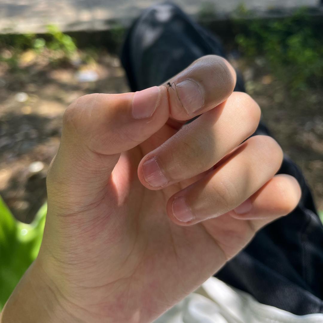 大口吃兵线