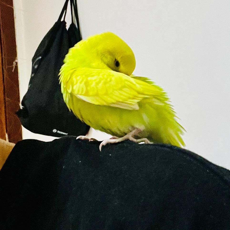 郑小啾宇宙超级可爱啦~