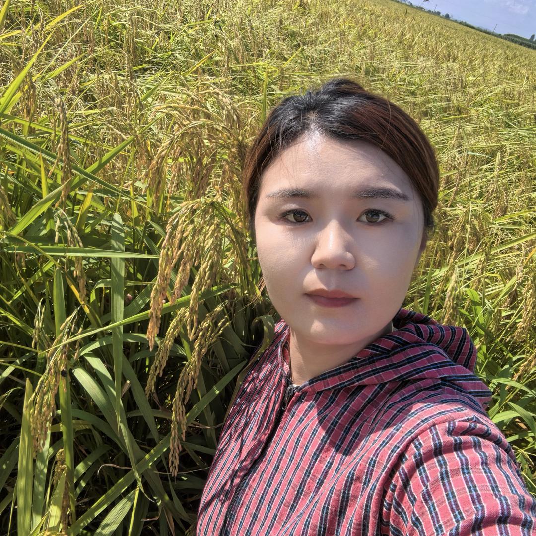 张胖丫五常大米