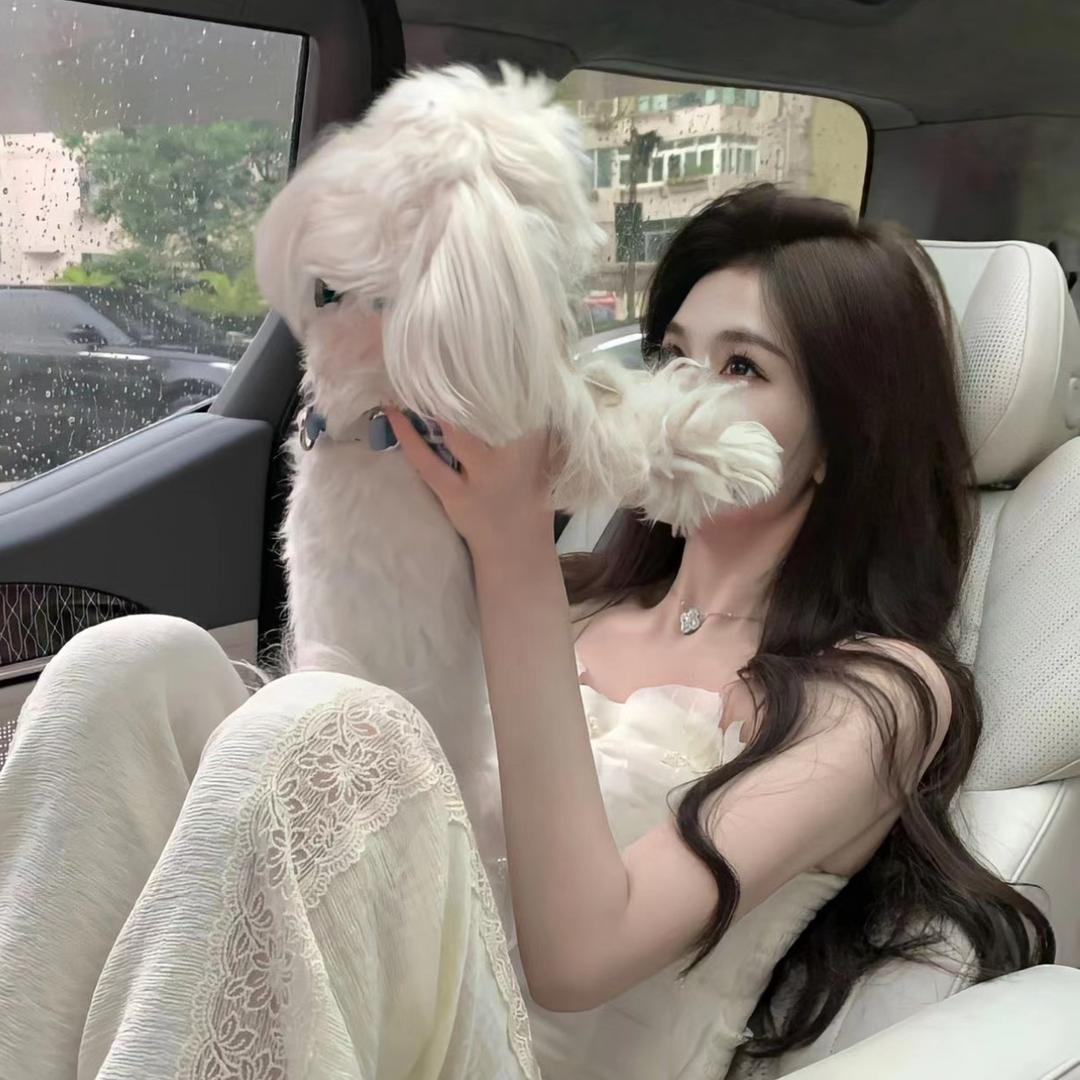 卖小狗的小孩