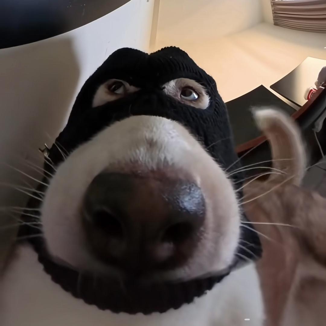 H是未知数.（封号斗罗版）