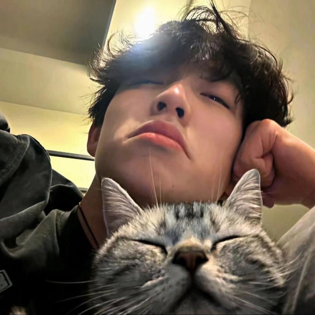 犯困小狗