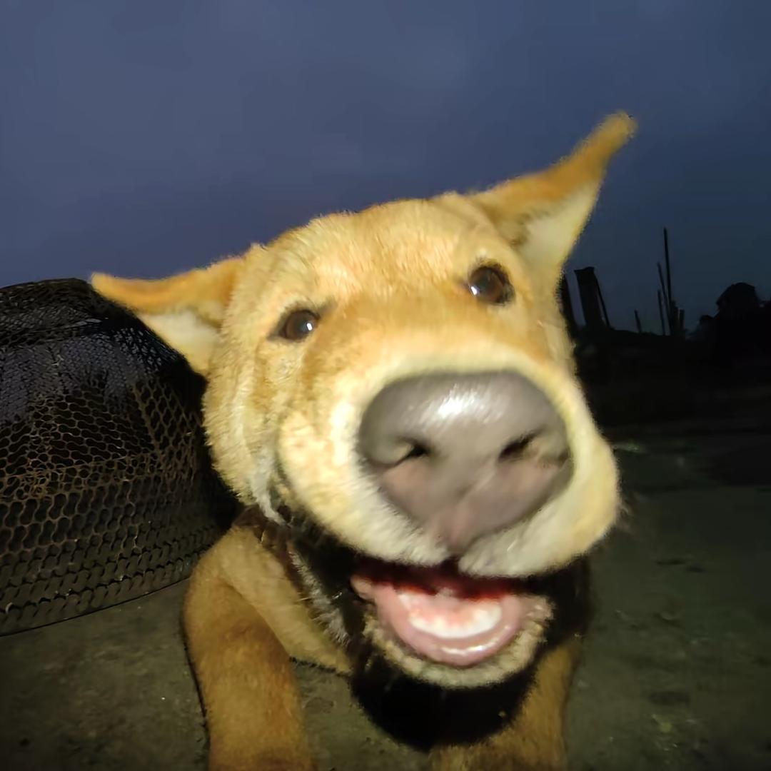 儿豁