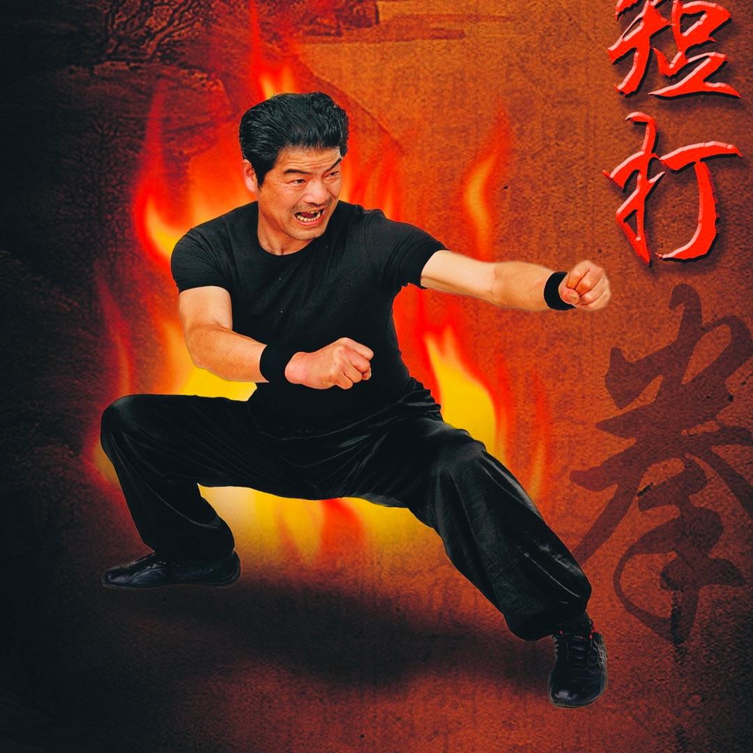 夜灵貓