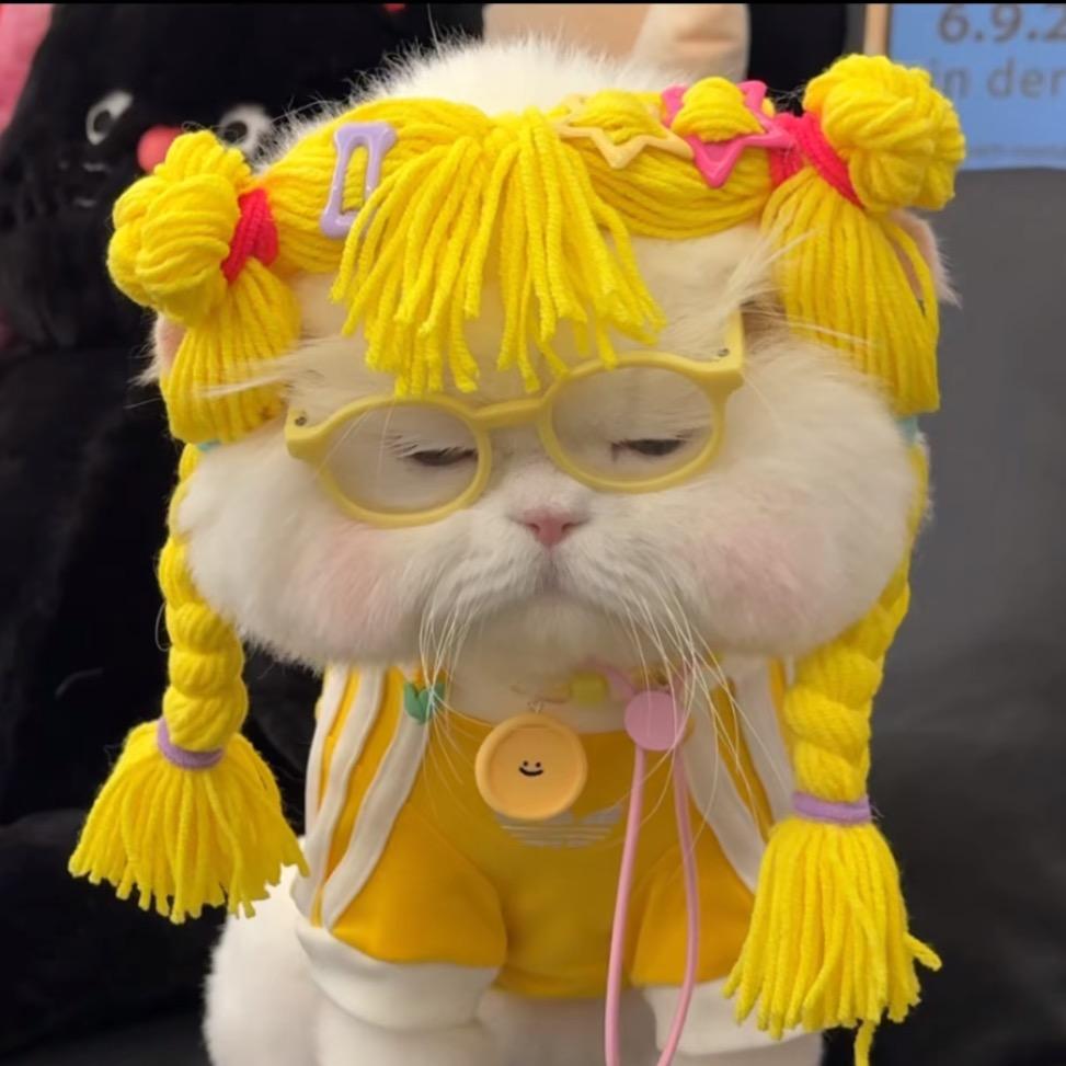 存款机的私生女