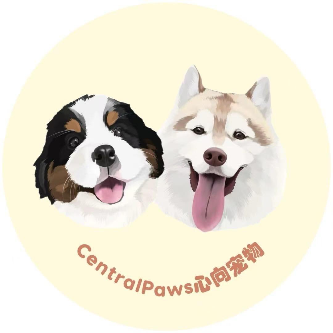 CentralPaws心向宠物