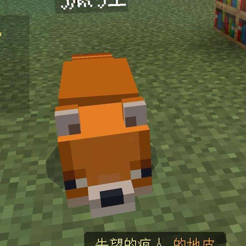 果果爱吃芒果巧克力力力