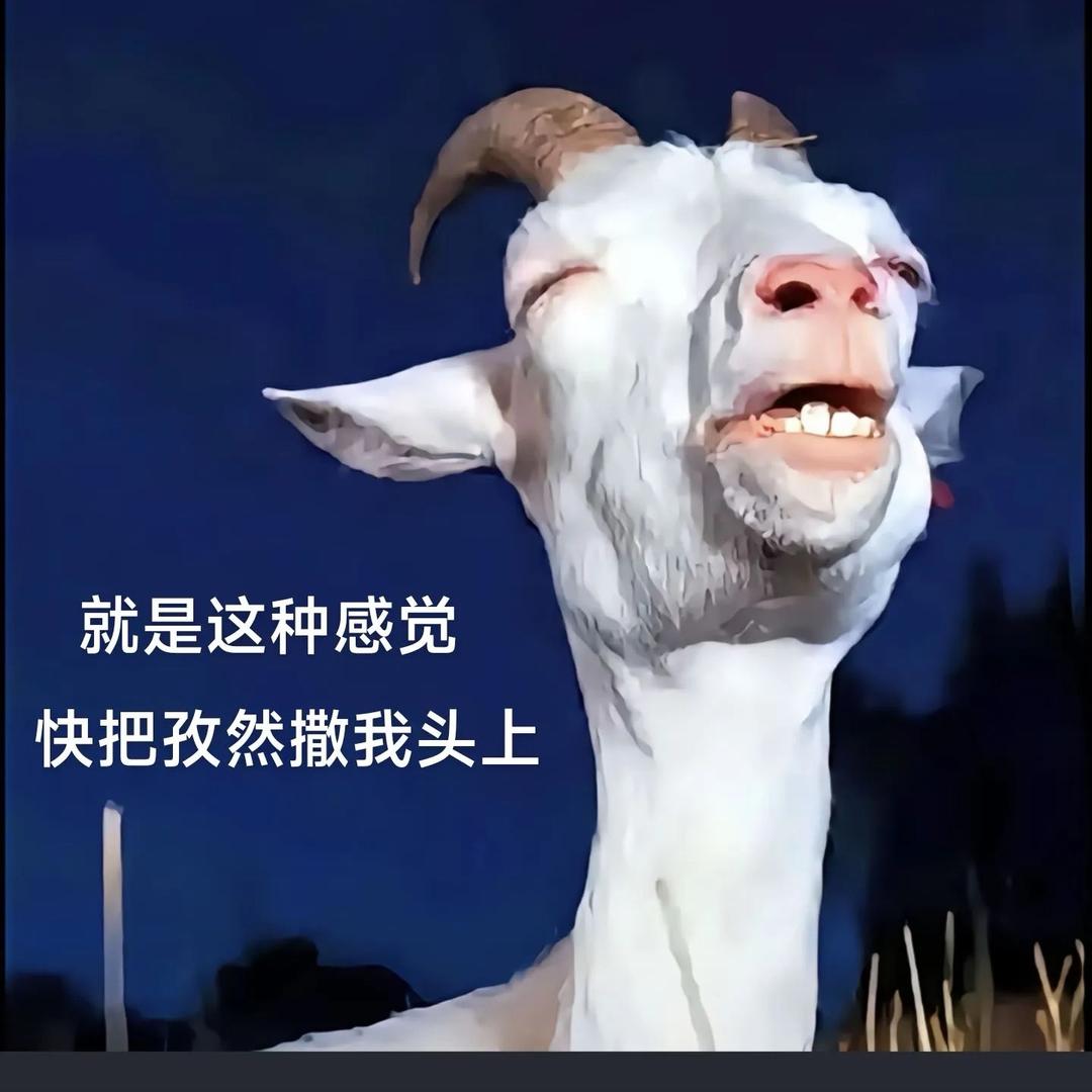 杨小洋