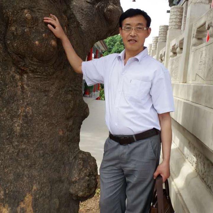 仙杜仲
