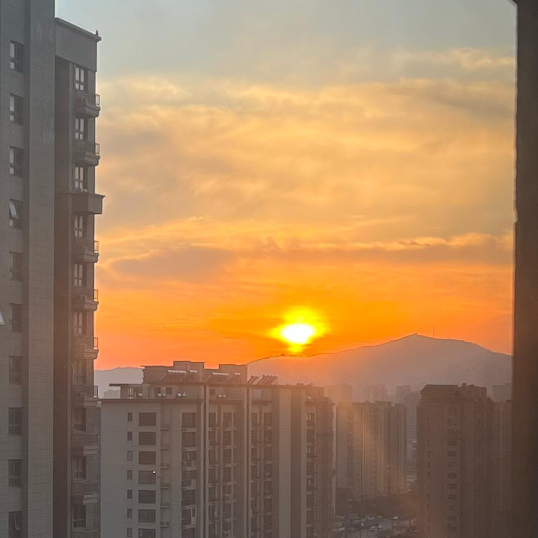 社恐小石🧋