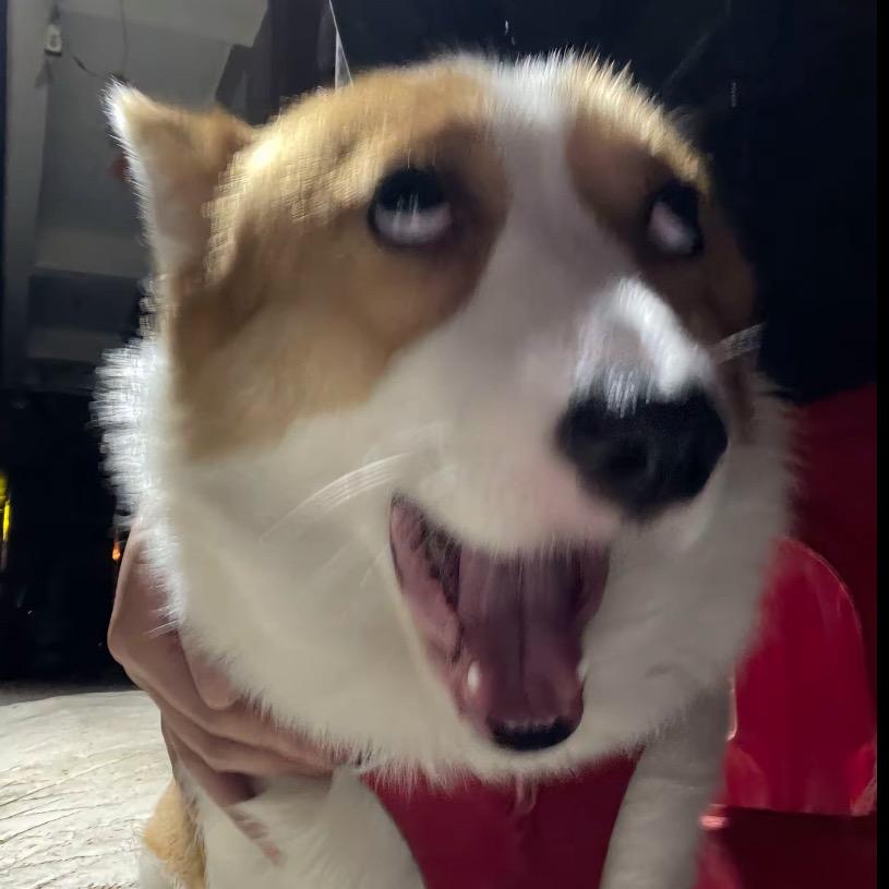 伊麦（上学版）