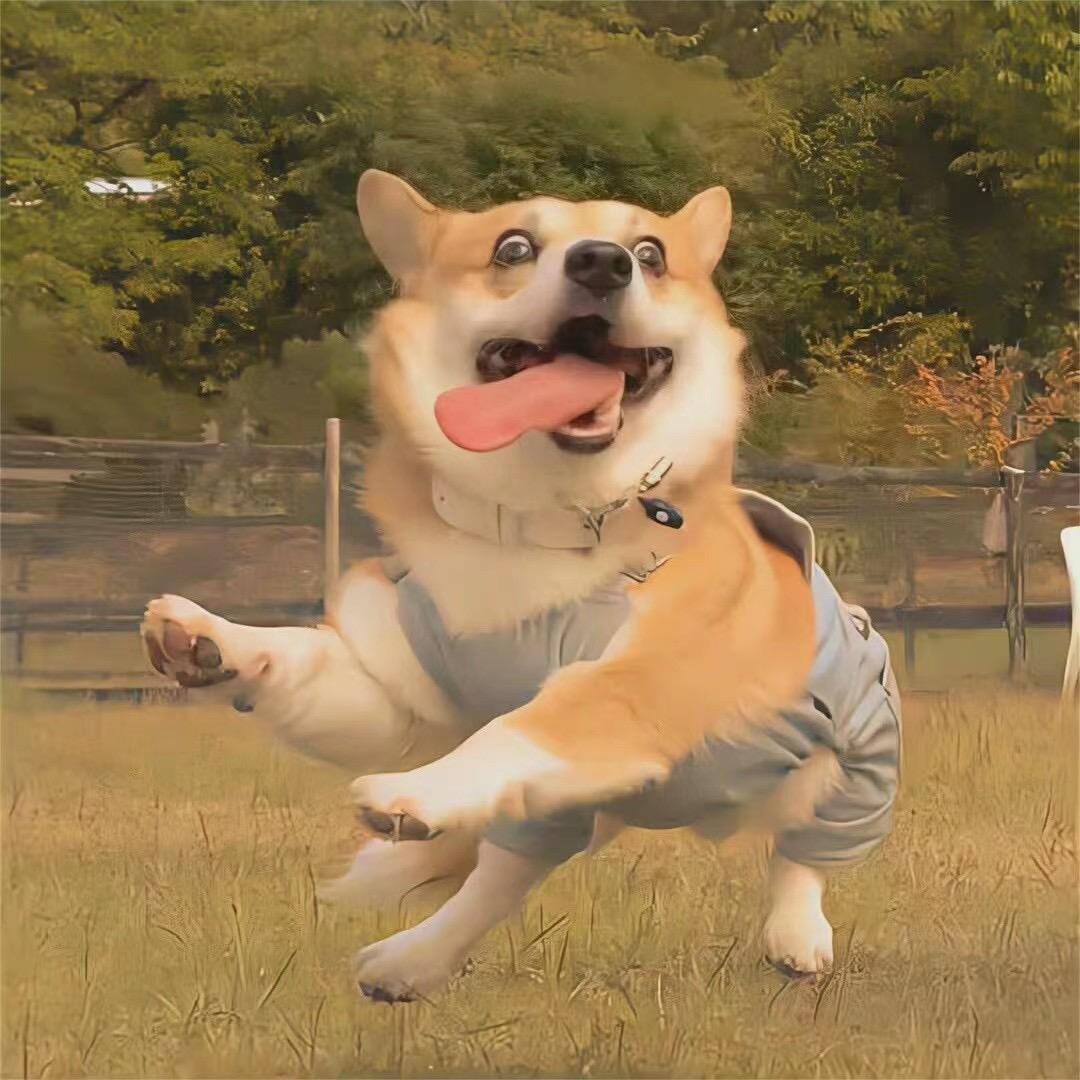 今天吃什么