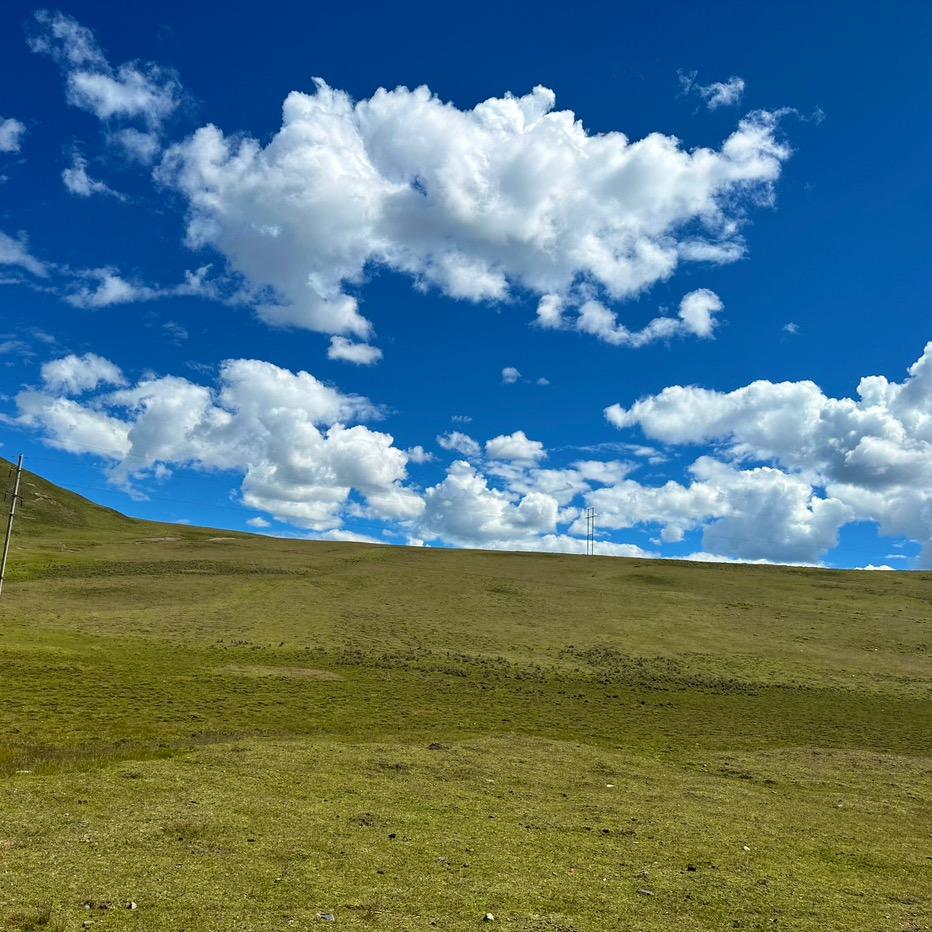 风吹日晒，自由自在