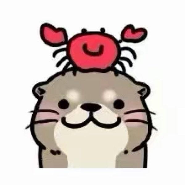 水獭老师
