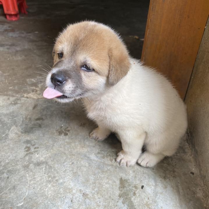 阿惠姐