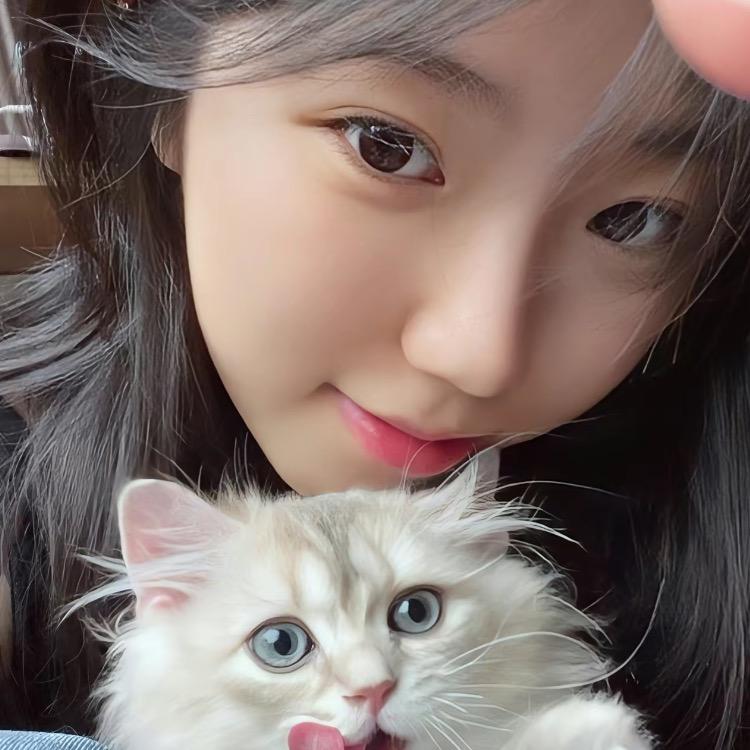 胖姐大码女装店