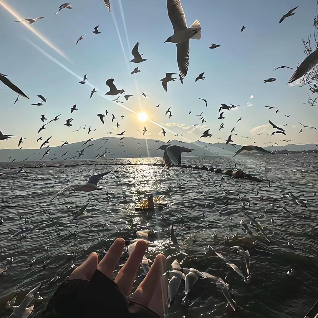 白日梦想家