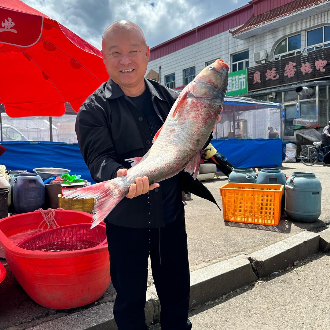 美食龙哥幸福生活