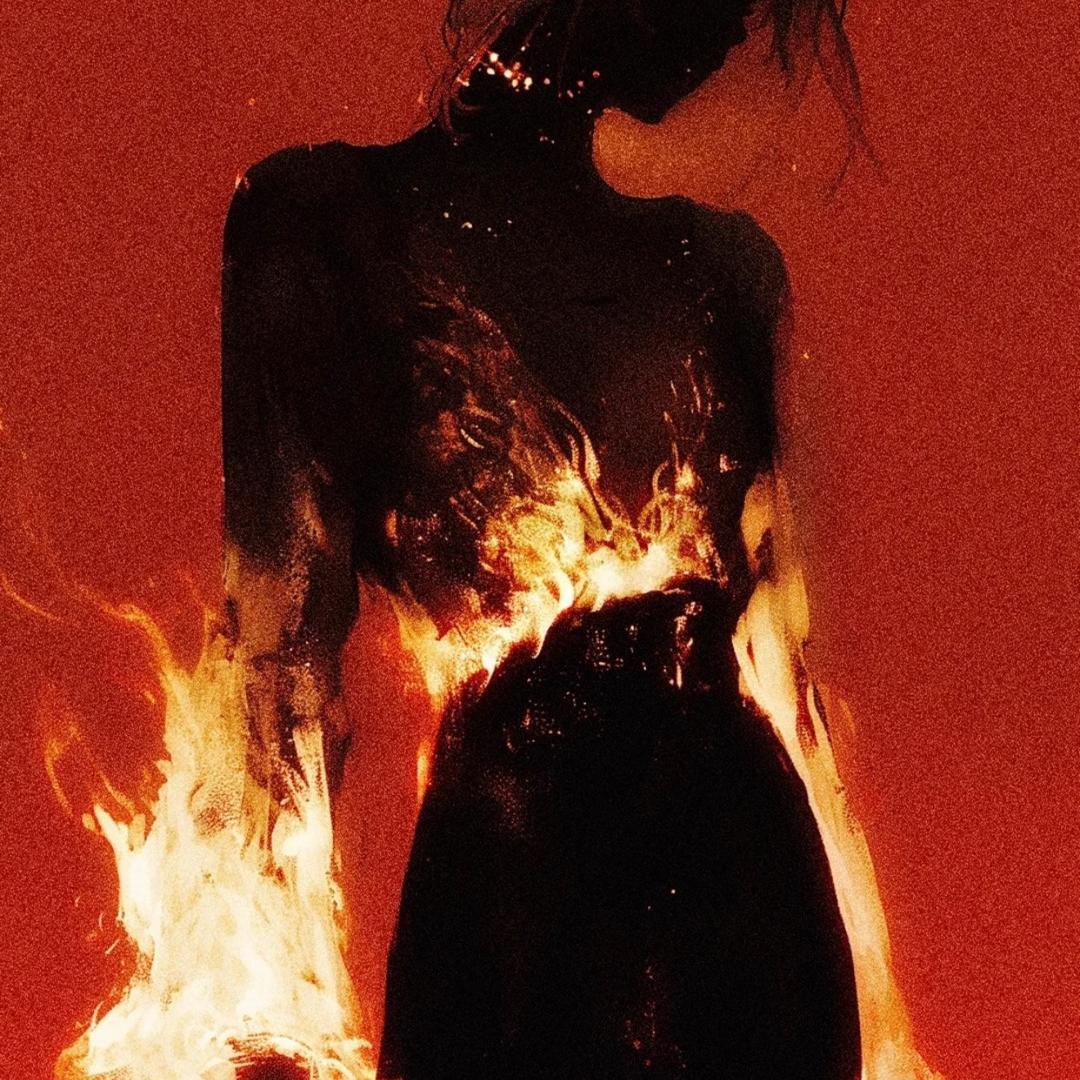 𝑫