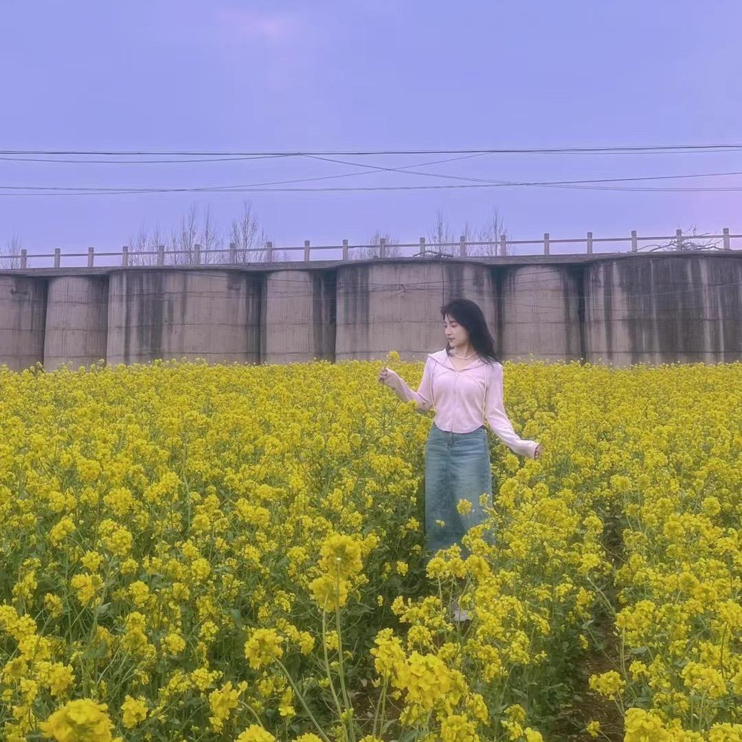 鲜 菲菲