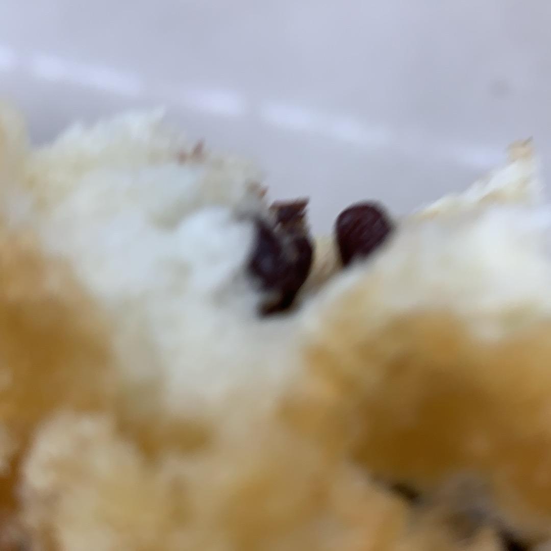 玫瑰花开