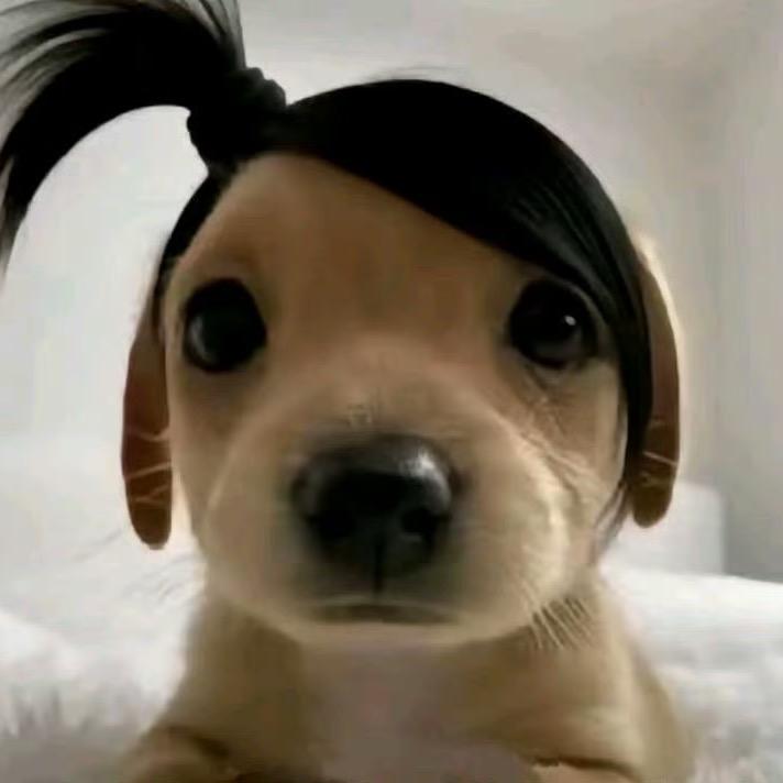 热心市民自然醒