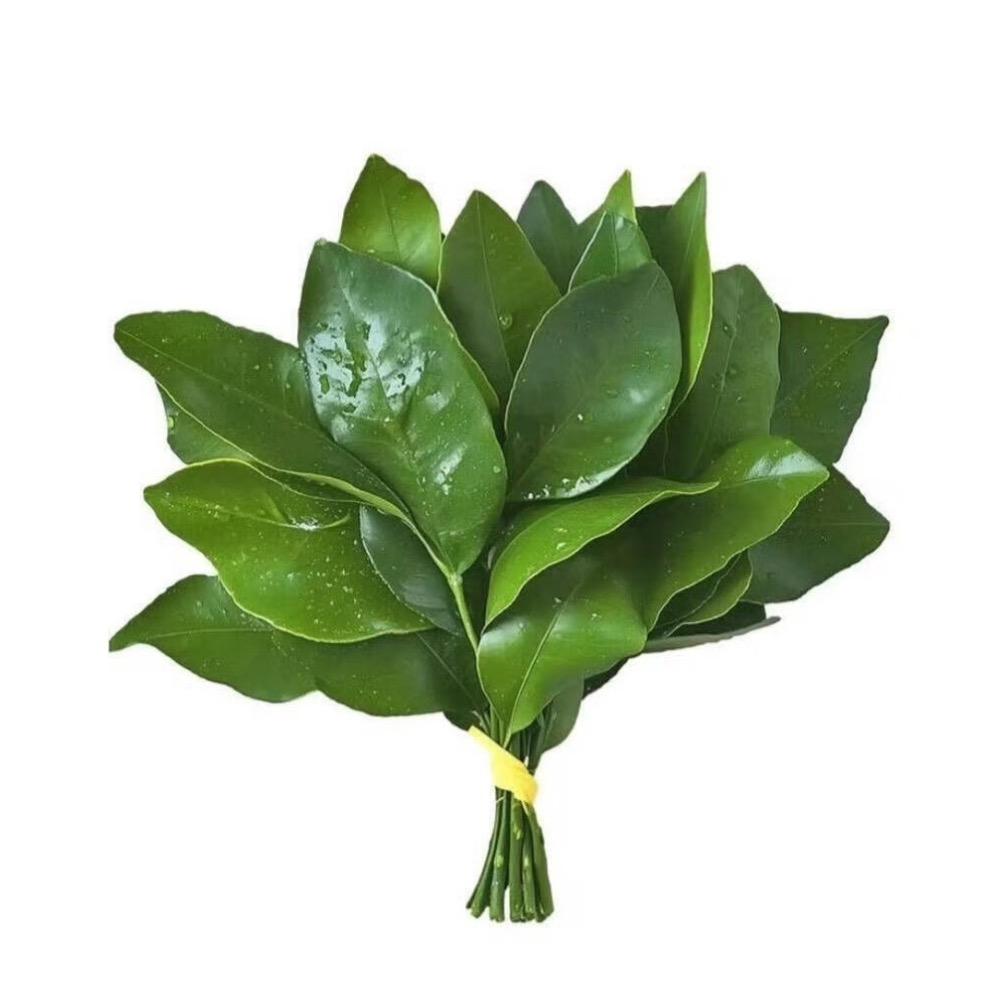 鱼