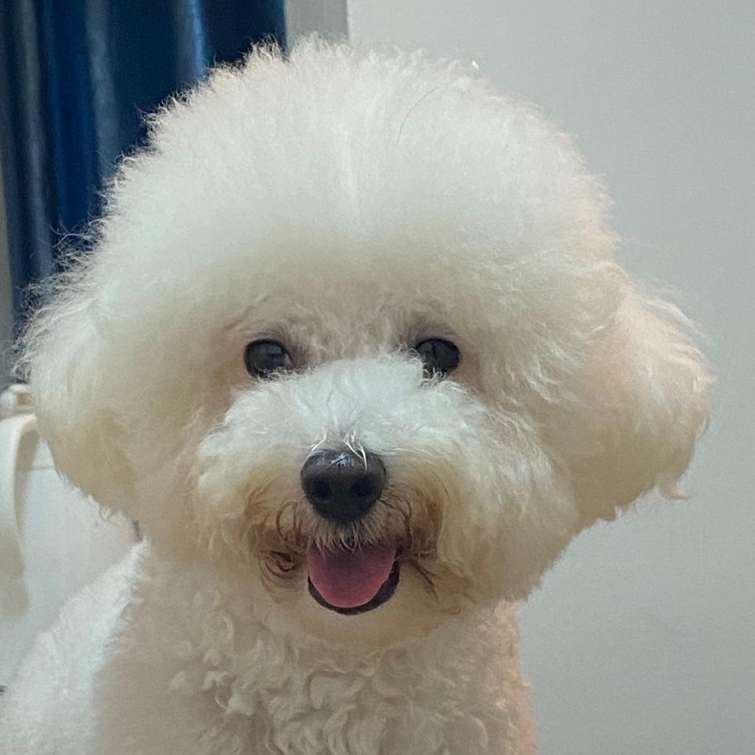 羞羞大王