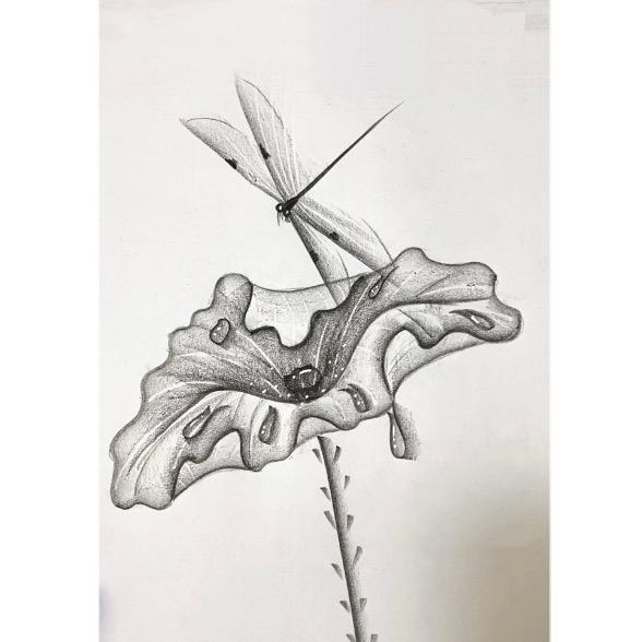 小鱼老师爱画画