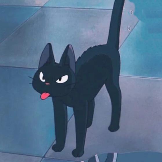 热心猫友