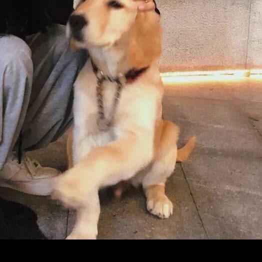 前程似錦