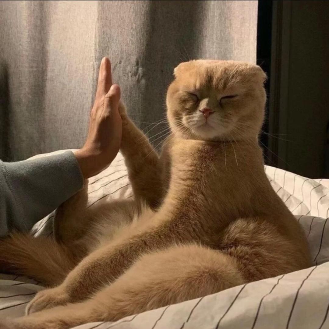 wawyt