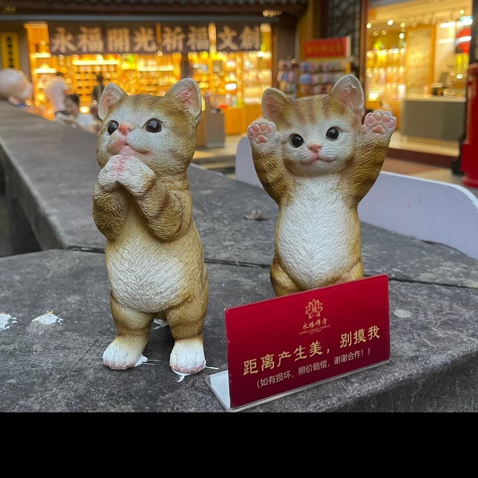 情柯一梦🐳🐳流氓