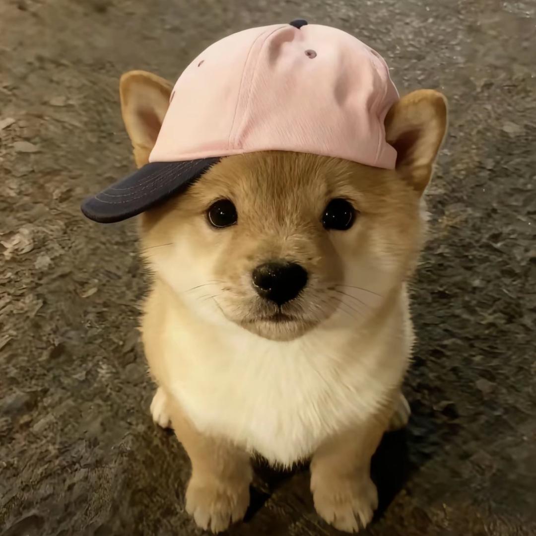 Xiaoh.