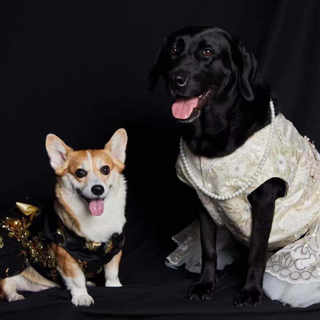 黑小妹🐶小鸡娃