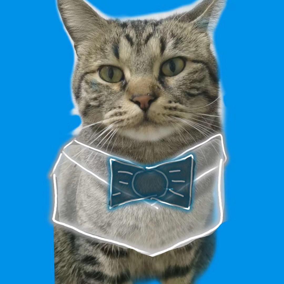 品细糠的猪