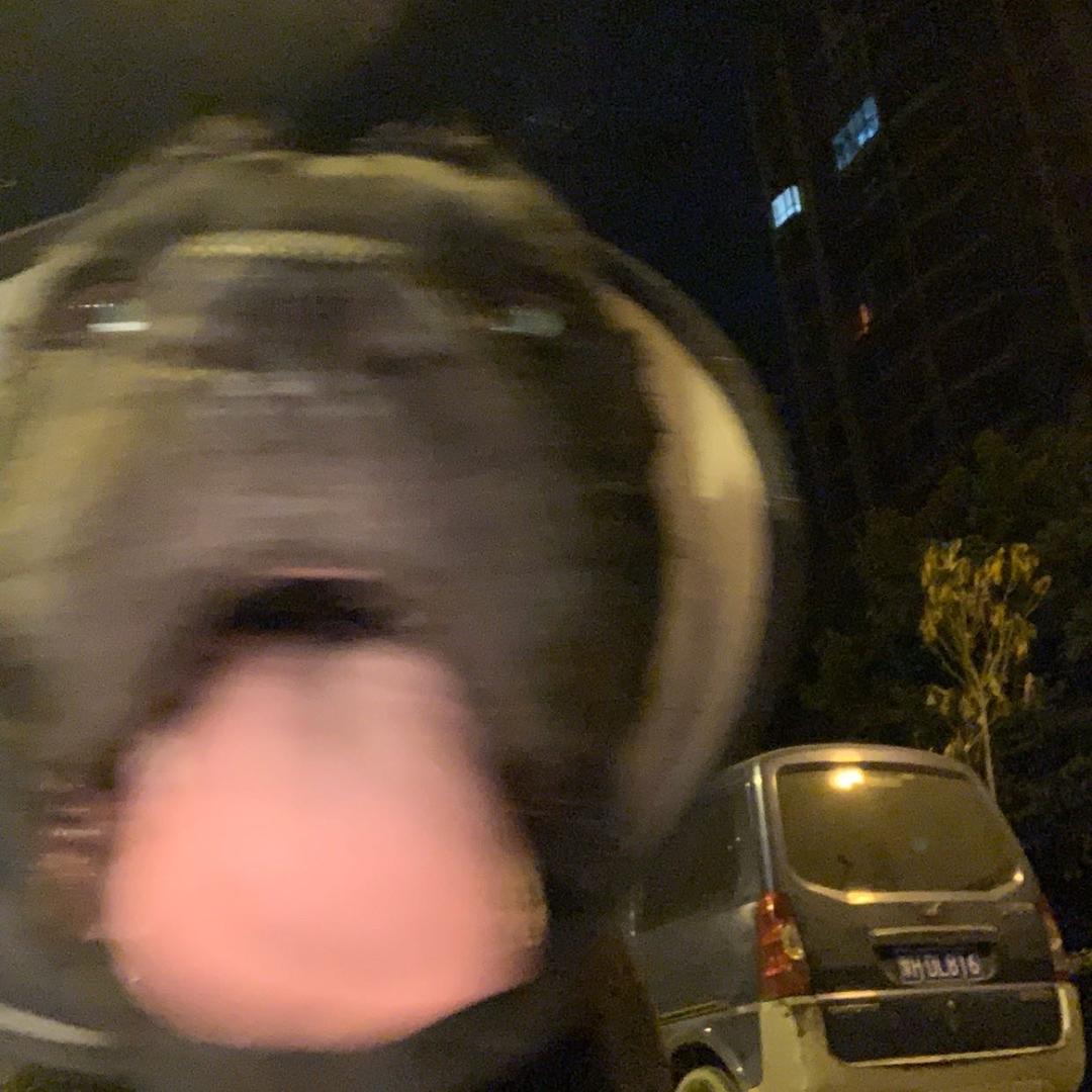 剑灵秦仙