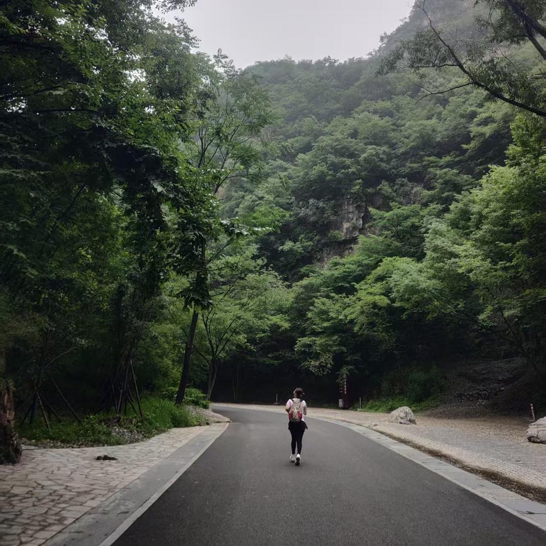 逆光而行—song好好song跑跑