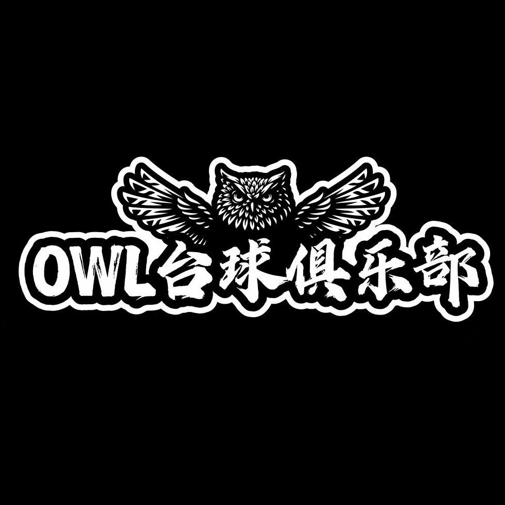 owl桌球俱乐部