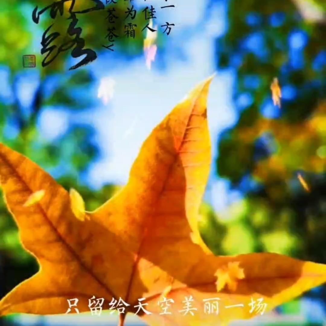敏敏