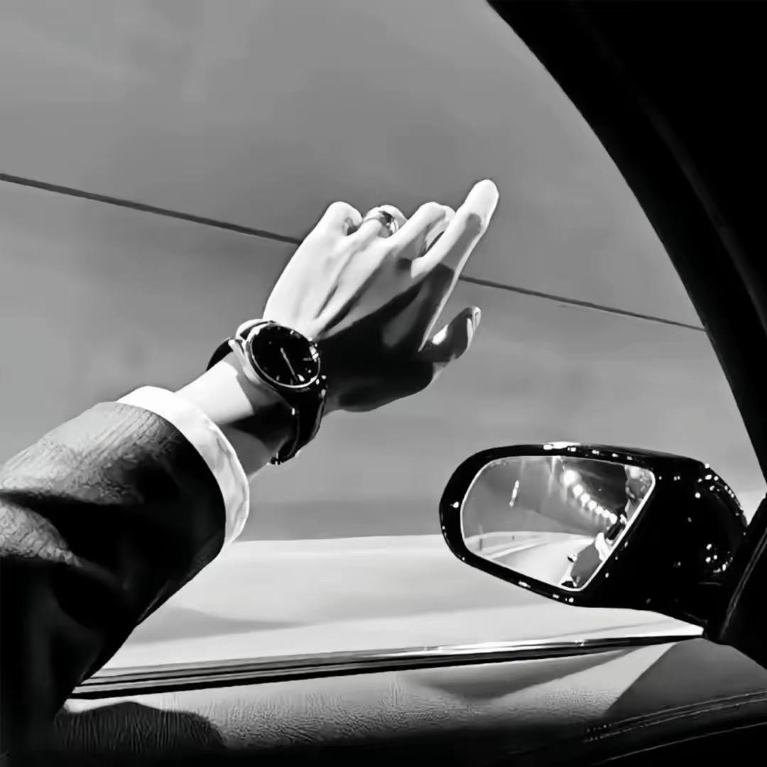 会飞的狼【无所畏惧】