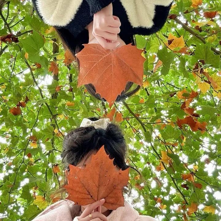 番茄哟哟酱呦呦嘿