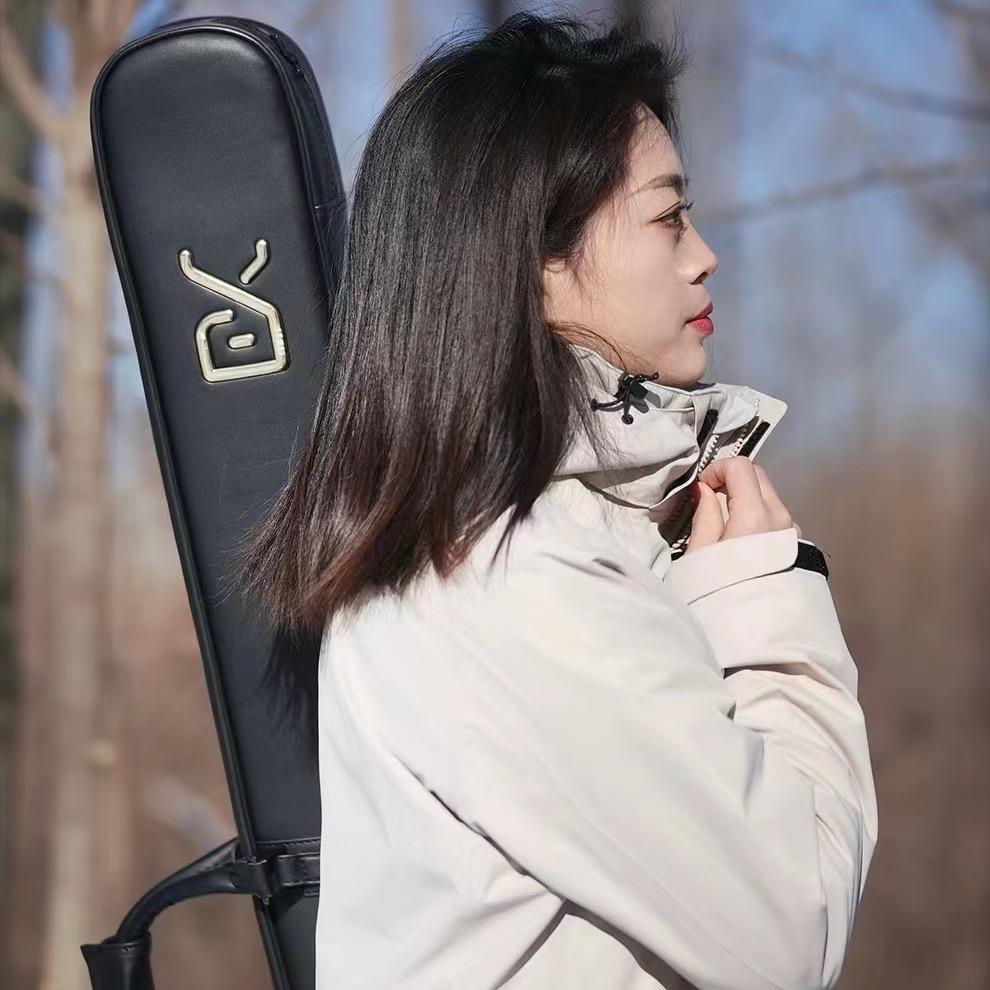 智能便携新能源杆8