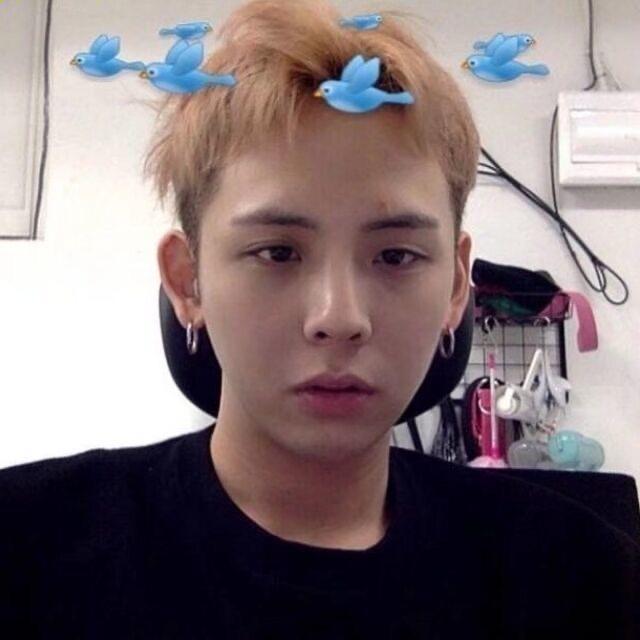 肖佳🧩