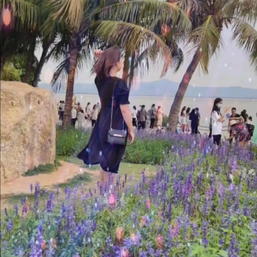 💃秋雨💋