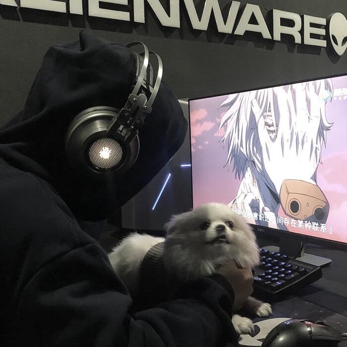 宁波小二电车涂鸦