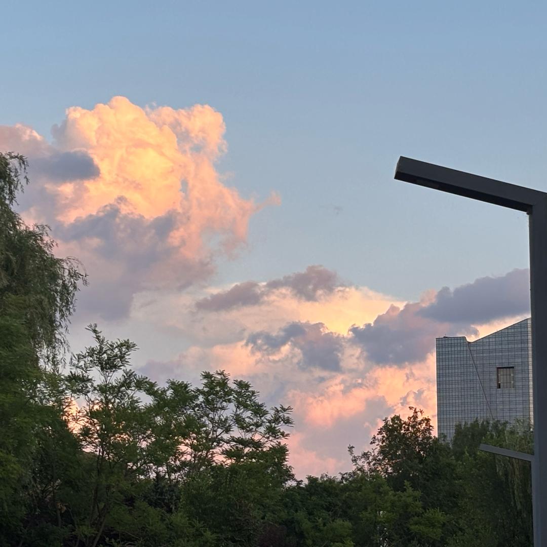 自由意志的沉沦