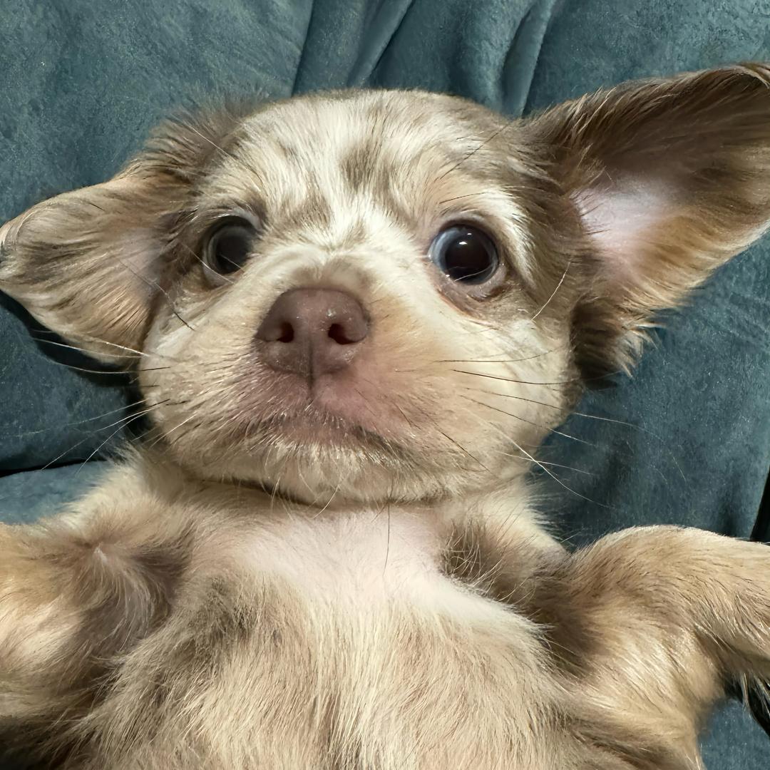 老老实实本本分分的过日子人. ♡⃝