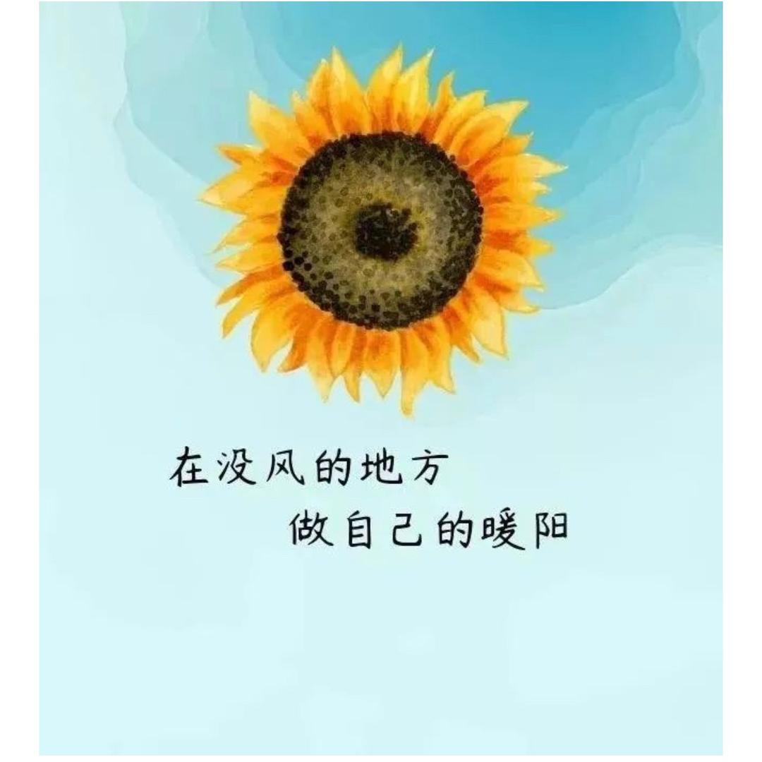 用户换¥¥$然